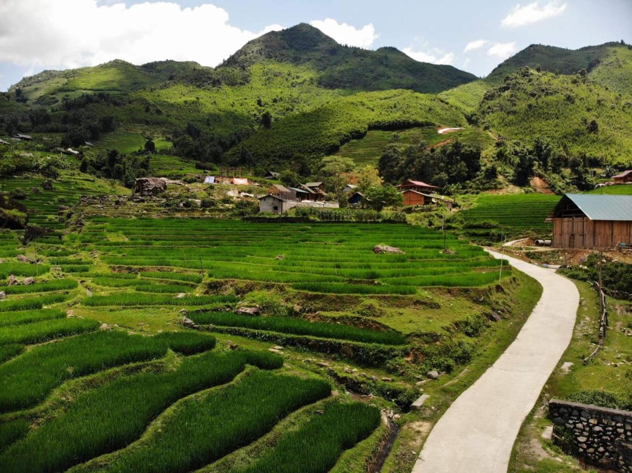 Ta Van Green Hills Homestay Sapa Exterior foto